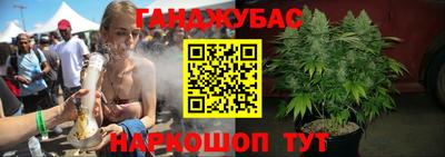 гашик Кимры